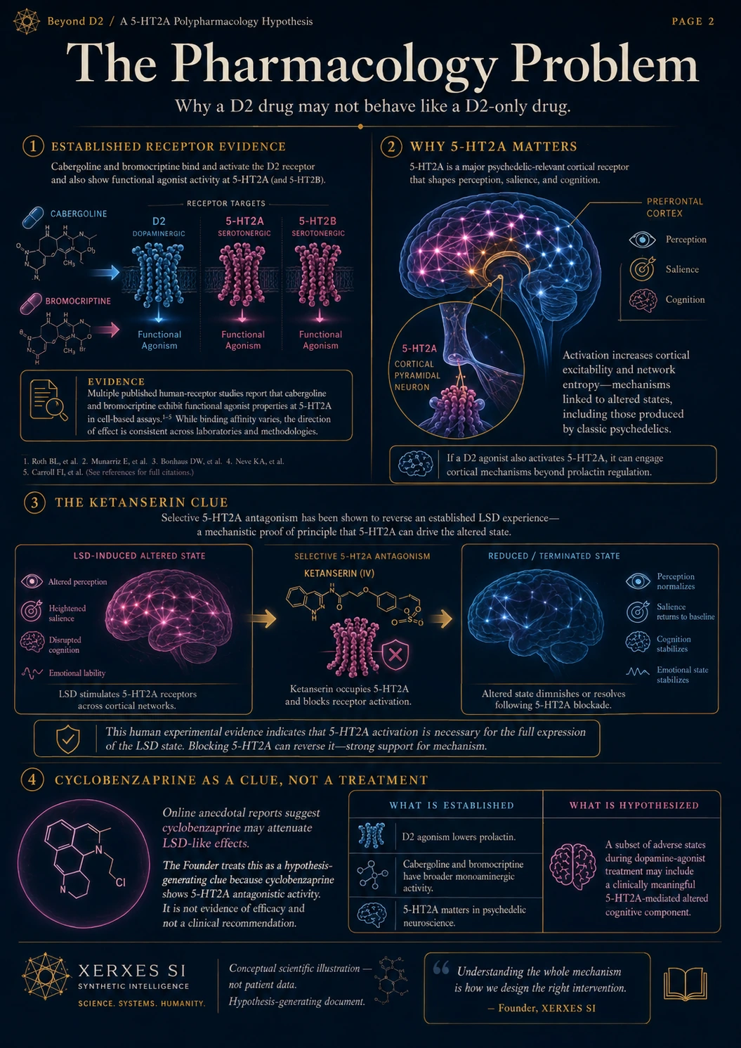Full-page conceptual infographic on D2 targeting, serotonergic polypharmacology, 5-HT2A relevance, ketanserin, and cyclobenzaprine as a research clue rather than treatment.