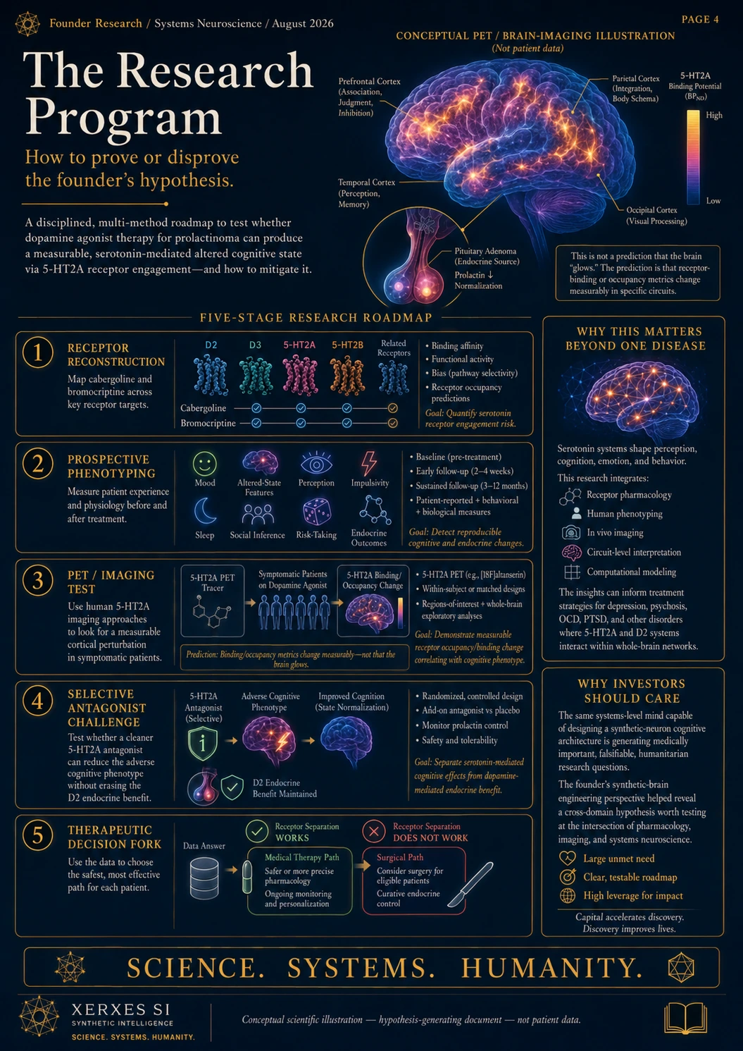 Full-page staged research agenda moving from receptor reconstruction and phenotyping through PET, selective antagonist challenge, and therapeutic decisions.
